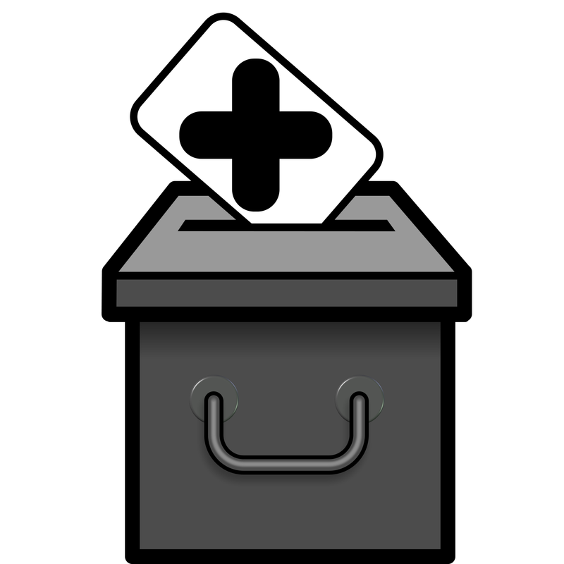 a white rectangle with a black X on it being placed into a ballot box.